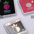 DSpico USB-C Flashcart For NDS NDSL DSi 3DS Consoles
